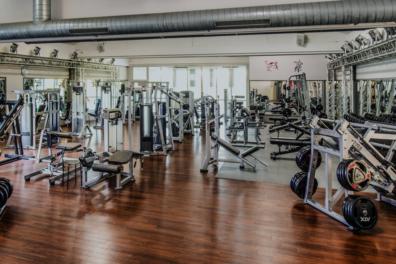 Weite Trainingsfl&auml;che mit Kraftger&auml;ten, Hantelb&auml;nken und Scheibenst&auml;ndern auf Holzboden